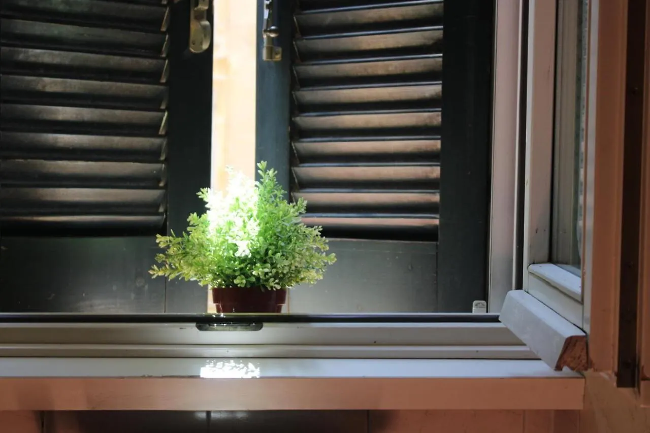 Colosseum New Charming Apartment Rome